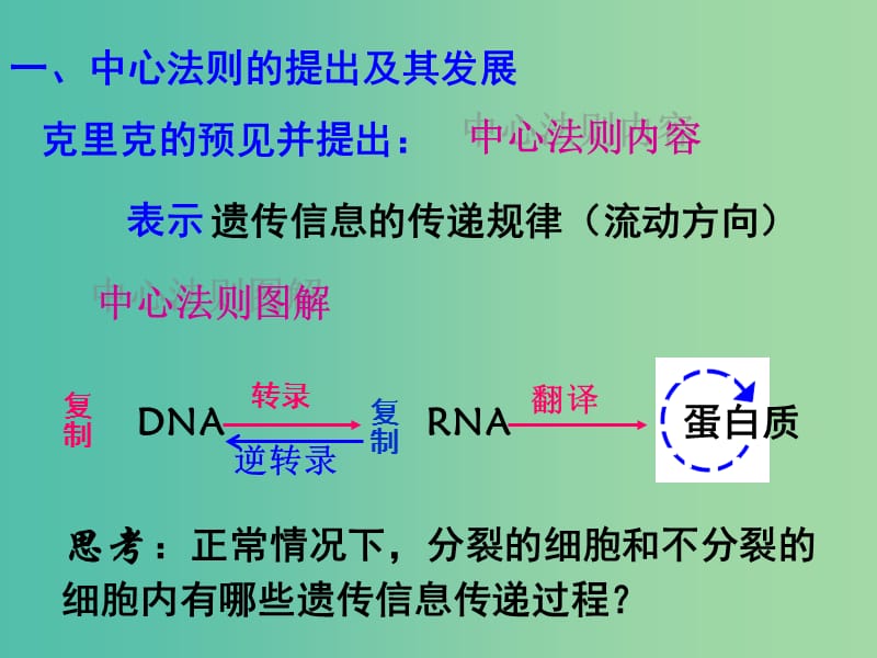 高中生物 4.2 基因对性状的控制课件 新人教版必修2.ppt_第2页