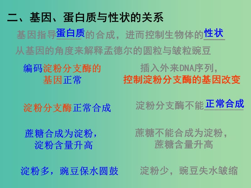 高中生物 4.2 基因对性状的控制课件 新人教版必修2.ppt_第3页