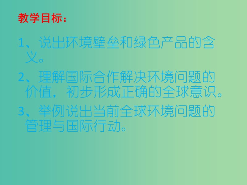 高中地理 4.2《国际行动》课件 鲁教版选修6.ppt_第2页