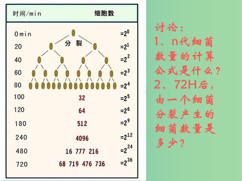 高中生物 4.2 种群数量的变化课件 新人教版必修3.ppt_第3页