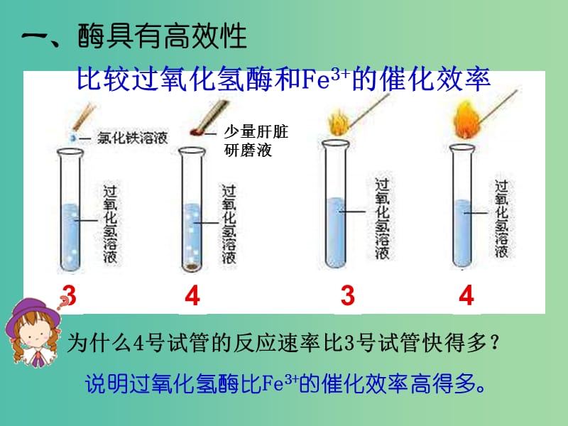 高中生物《51 新陈代谢与酶》课件 新人教版必修1.ppt_第3页