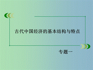 高中歷史 專題1第3課 古代中國的商業(yè)經(jīng)濟課件 人民版必修2.ppt