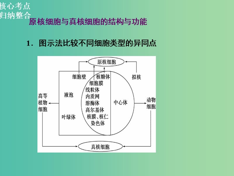 高三生物二轮复习 第一部分 知识落实篇 专题一 细胞的分子组成和基本结构 第2讲 细胞的结构课件.ppt_第2页