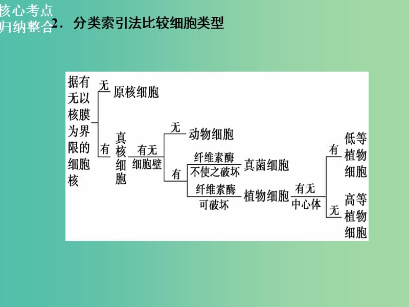 高三生物二轮复习 第一部分 知识落实篇 专题一 细胞的分子组成和基本结构 第2讲 细胞的结构课件.ppt_第3页