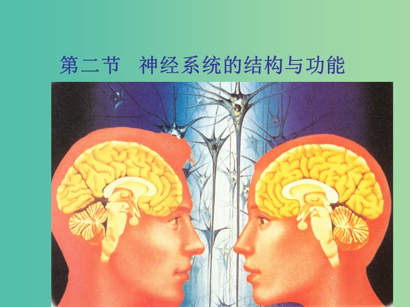 高中生物 22 神经系统的结构和功能课件 浙科版必修2.ppt_第1页