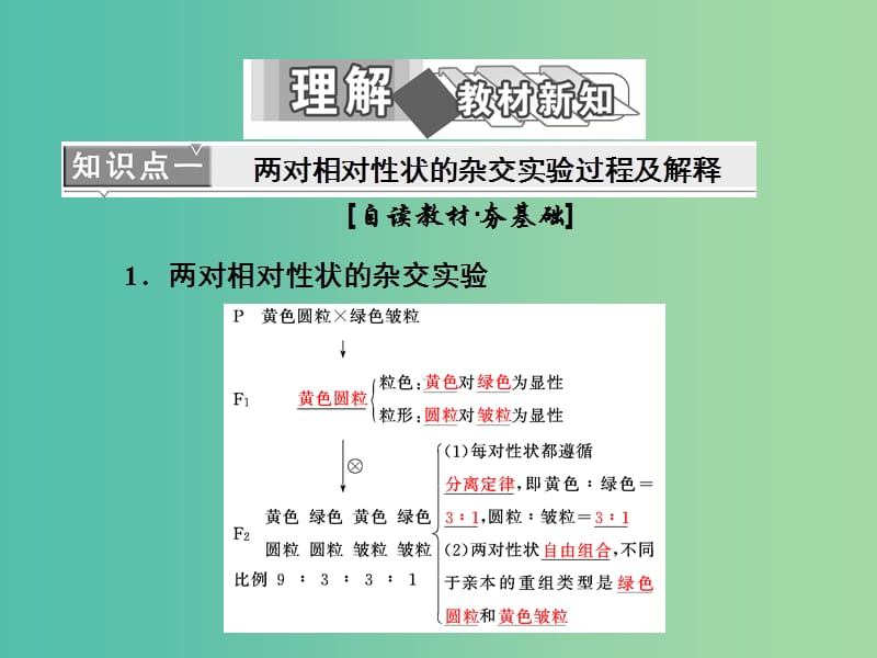 高中生物第1章遗传因子的发现第2节孟德尔的豌豆杂交实验二课件新人教版.ppt_第2页