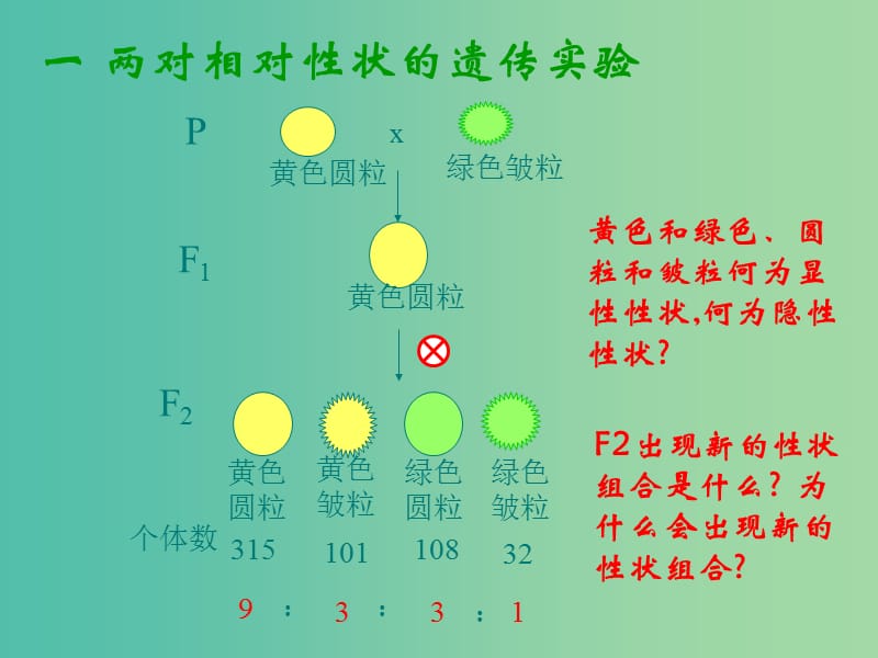 高中生物 1.2 孟德尔的豌豆杂交实验（二）课件 新人教版必修2.ppt_第2页