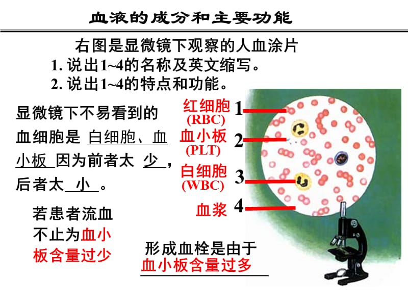 人体内物质的运输复习.ppt_第2页