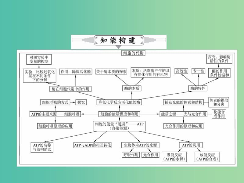 高三生物二轮复习 专题精讲二 细胞的代谢 第1讲 物质的跨膜运输、酶与ATP课件.ppt_第2页