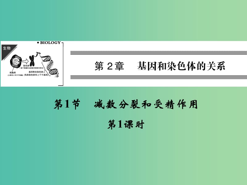 高中生物 2.1减数分裂和受精作用 第1课时课件 新人教版必修2.ppt_第1页