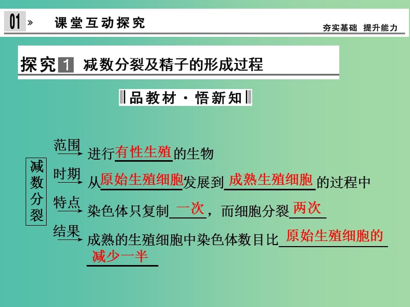 高中生物 2.1减数分裂和受精作用 第1课时课件 新人教版必修2.ppt_第3页