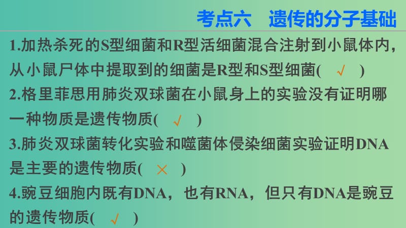 高三生物第二轮复习 第二篇 考点六 遗传的分子基础课件 新人教版.ppt_第2页