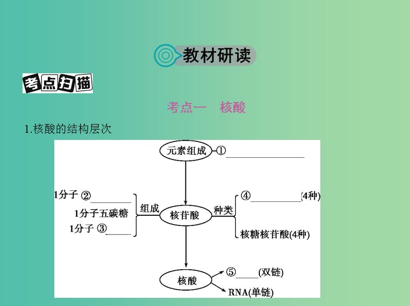 高考生物一轮复习分子与细胞第1单元细胞的分子组成第3讲核酸糖类与脂质课件.ppt_第2页