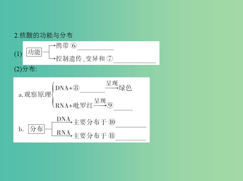 高考生物一轮复习分子与细胞第1单元细胞的分子组成第3讲核酸糖类与脂质课件.ppt_第3页