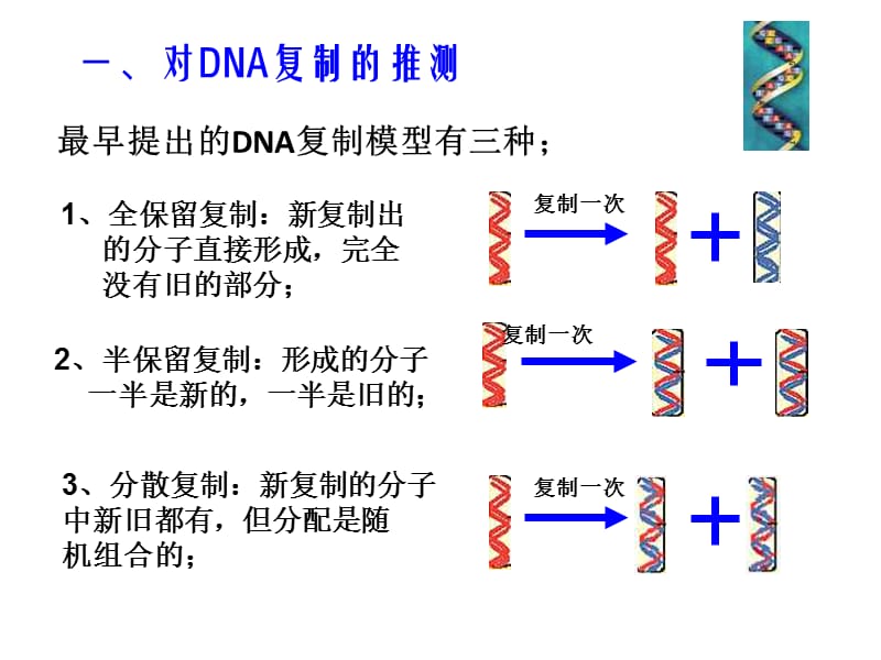 《DNA的复制》PPT课件.ppt_第2页