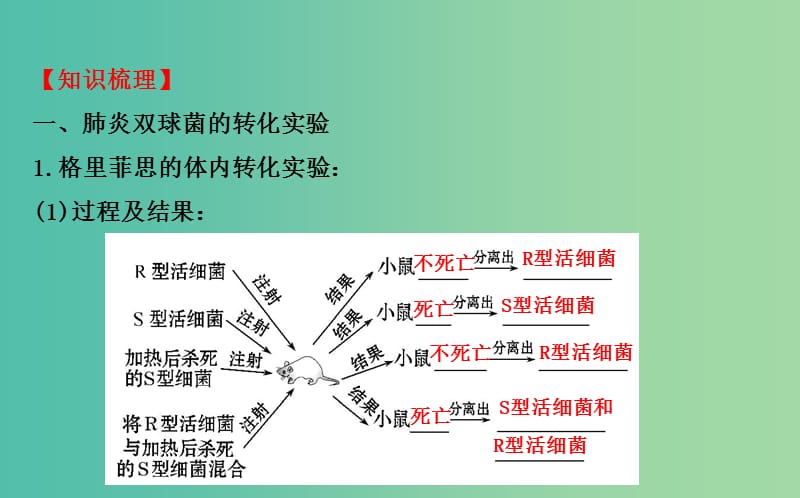 高考生物总复习 第三章 基因的本质 第1节 DNA是主要的遗传物质课件 新人教版必修2.ppt_第3页