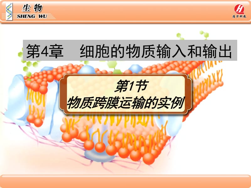 《物质跨膜运输的实例》PPT课件.ppt_第1页