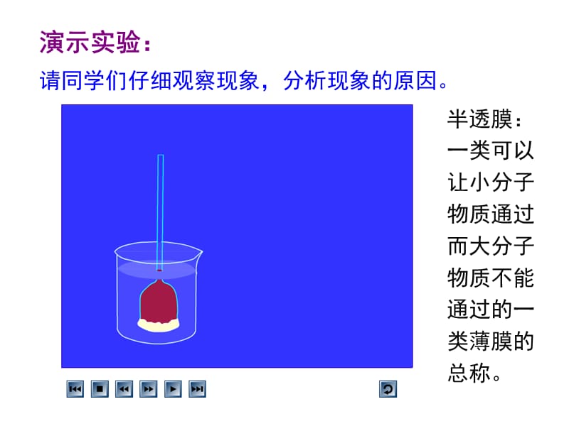 《物质跨膜运输的实例》PPT课件.ppt_第3页