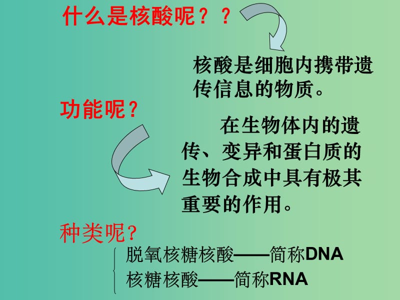 高中生物 2.3 遗传信息的携带者——核酸课件 新人教版必修1.ppt_第3页