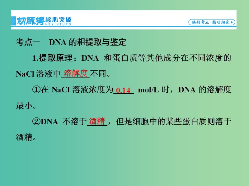 高考生物一轮复习 第4讲 DNA和蛋白质技术课件 新人教版选修1.ppt_第3页