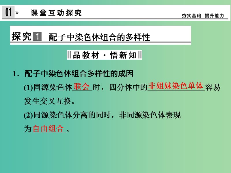 高中生物 2.1减数分裂和受精作用 第2课时课件 新人教版必修2.ppt_第2页