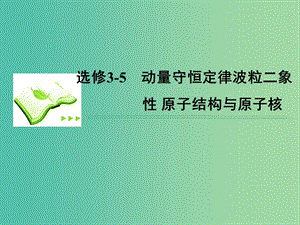 高考物理總復習 1動量守恒定律課件 新人教版選修3-5.ppt