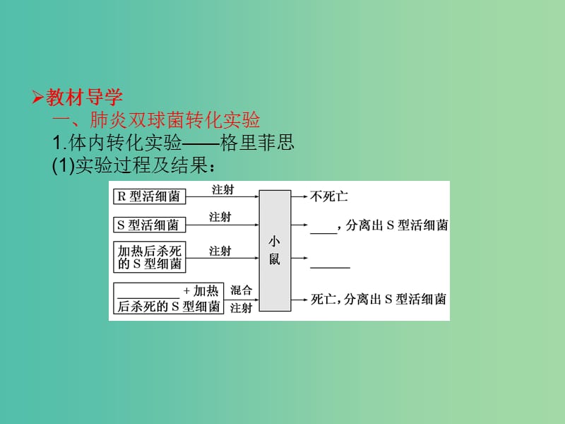 高考生物大一轮复习 第六单元 遗传的物质基础17课件 新人教版 .ppt_第3页