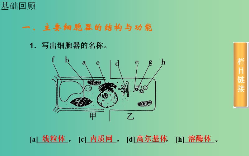 高考生物一轮复习 细胞器系统内的分工合作课件.ppt_第3页