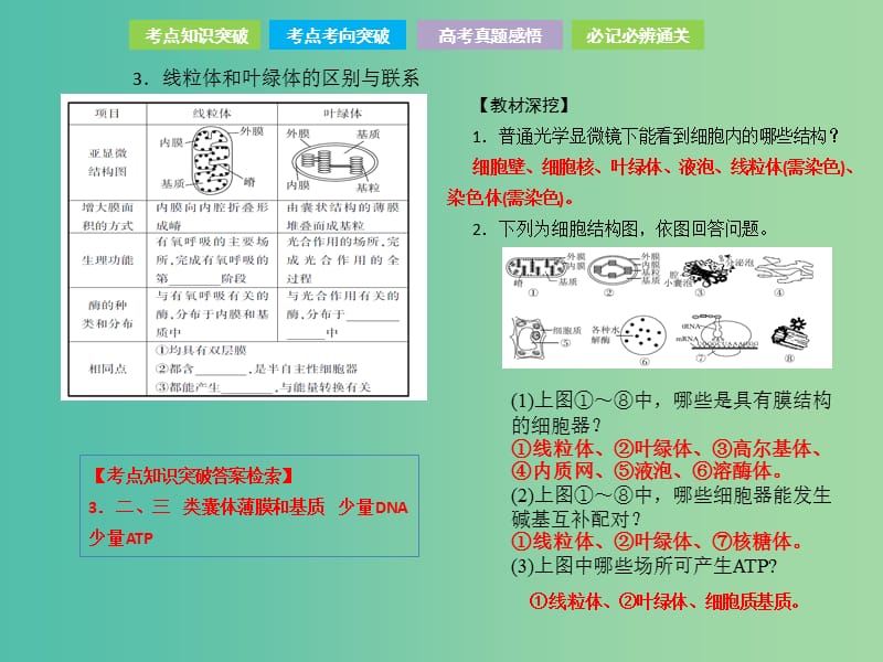 高考生物总复习第二单元细胞的基本结构与物质的运输第2讲细胞器--系统内的分工合作课件.ppt_第3页