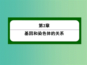 高中生物 2-3 伴性遺傳課件 新人教版必修2.ppt