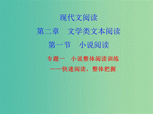 高考語文 小說整體閱讀訓(xùn)練考點綜合提升復(fù)習(xí)課件.ppt