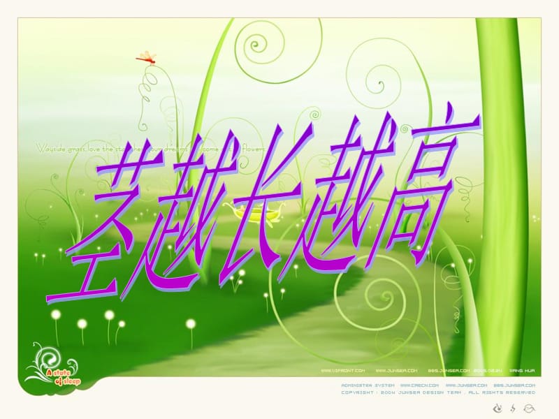 《茎越长越高》PPT课件.ppt_第1页