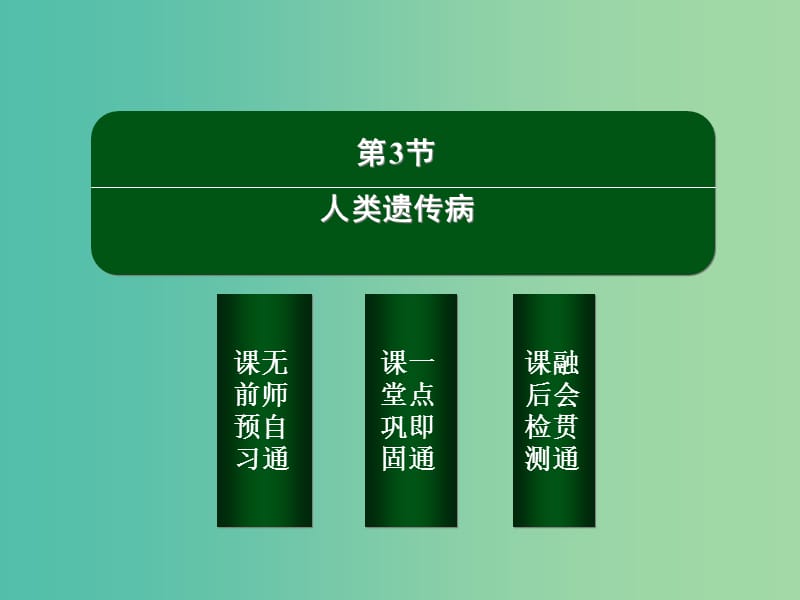 高中生物 5-3 人类遗传病课件 新人教版必修2.ppt_第2页