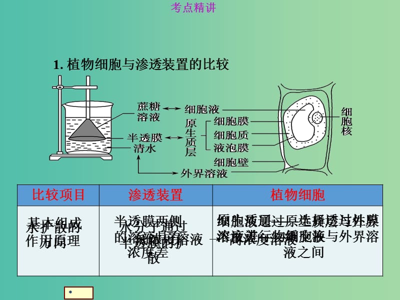 高考生物总复习 1-2-6植物细胞的质壁分离及应用探究类课件 新人教版.ppt_第2页