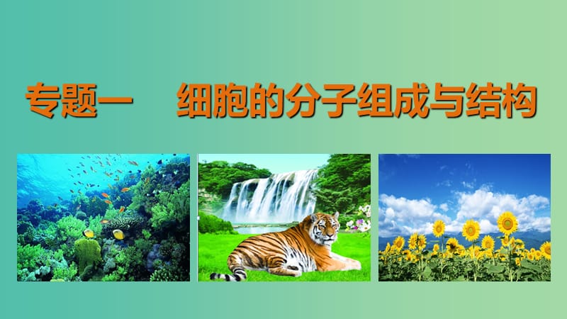 高三生物第二轮复习 专题一 第1讲 细胞的分子组成课件 新人教版.ppt_第1页