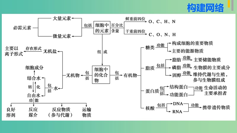 高三生物第二轮复习 专题一 第1讲 细胞的分子组成课件 新人教版.ppt_第3页