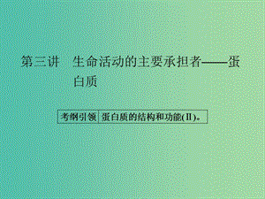 高考生物一輪總復習 第一單元 第三講 生命活動的主要承擔者-蛋白質課件.ppt