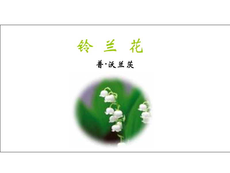 《铃兰花》公开课.ppt_第1页