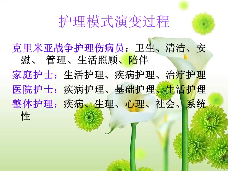 优质护理服务课件.ppt_第2页