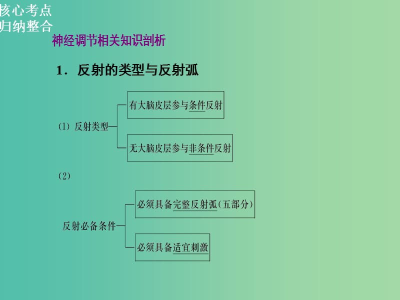 高三生物二轮复习 第一部分 知识落实篇 专题五 生命活动的调节 第1节 人和动物生命活动的调节课件.ppt_第2页