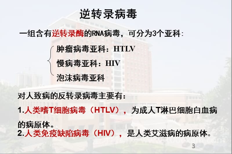 《逆转录病毒》PPT课件.ppt_第3页