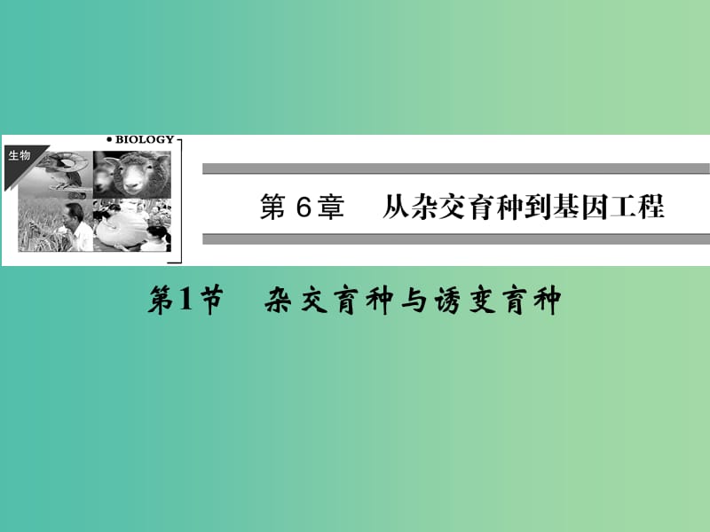 高中生物 6.1杂交育种与诱变育种课件 新人教版必修2.ppt_第1页