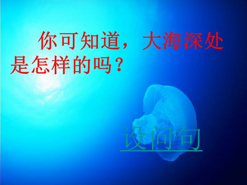 《海底世界》三年级语文.ppt_第3页