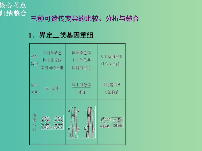 高三生物二轮复习 第一部分 知识落实篇 专题四 遗传、变异和进化 第3讲 变异、育种和进化课件.ppt_第2页