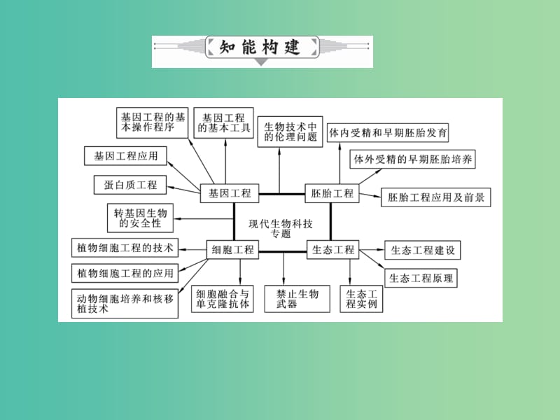 高三生物二轮复习 专题精讲八 选修模块 第2讲 现代生物科技专题精讲（选修3）课件.ppt_第2页