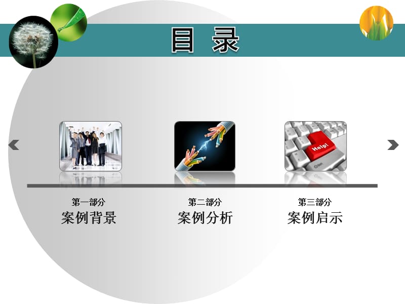 MBA管理课程案例分析.ppt_第2页