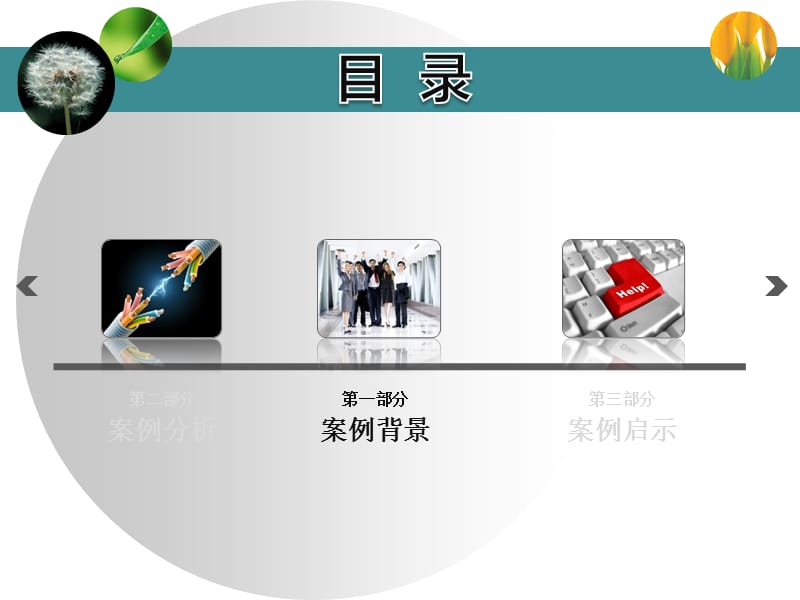 MBA管理课程案例分析.ppt_第3页