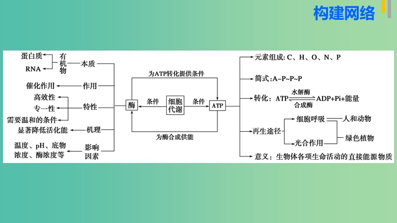 高三生物第二轮复习 专题二 第1讲 代谢中的酶与ATP课件 新人教版.ppt_第3页