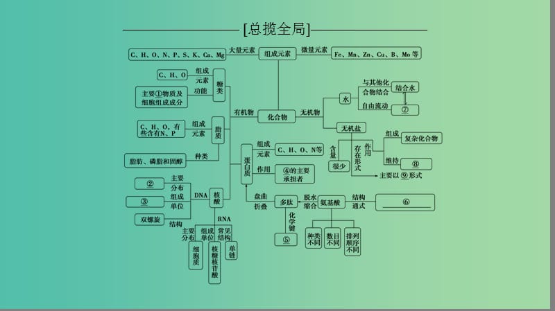 高考生物一轮复习第1单元细胞的化学组成单元网络构建课件苏教版.ppt_第2页