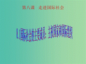 高中政治 8.1國際社會的主要成員 主權國家和國際組織課件3 新人教版必修2.ppt